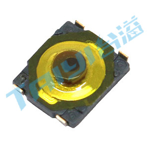 2.8*2.4輕觸開關(guān)T1-A0415