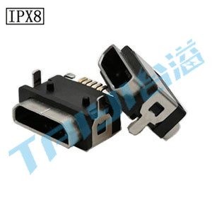 TY-MS-FSL-L-2